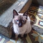 Simón Cisneros - @cisneros.simon - Instagram