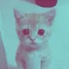 simonclayps - @simonclayps - TikTok