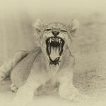 Simon Clements - @simoncl65 - Instagram