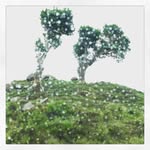 Simon Clements - @rehabitatafrica - Instagram