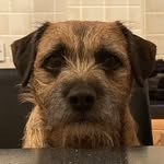 Simon Clifton - @clifton321 - Instagram
