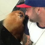 Simon BigDog Cobb - @simon_bigdog_cobb - Instagram