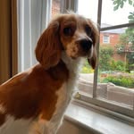 Simon Cobb - @simon_a_cobb - Instagram
