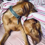 Simon Cobb - @simonrcobb - Instagram