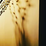 Simon Cobb - @scobb_compositions - Instagram