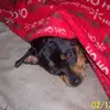 simoncordova920 - @simoncordova920 - TikTok