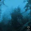 simoncordova_6 - @simoncordova_6 - TikTok