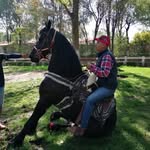 Simon Corona - @simoncorona50 - Instagram