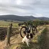Simon Crook - @simoncrook0 - TikTok