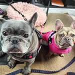 Simon Crook - @s.crook73 - Instagram