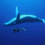 Simon Crowley - @crowley_simon - Instagram