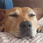 Simon Daly - @simondaly - Instagram