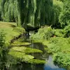 Simon Daly - @simon.daly67 - TikTok