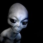 Simon Devine - @simon.devine.9809 - Instagram