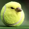 simon dingleburg - @simon.dingleburg - TikTok