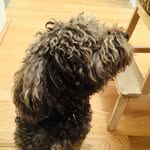 Simon Donovan - @simmy08d - Instagram