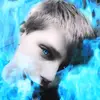 simondonovan15 - @simondonovan15 - TikTok