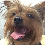 simon dooley - @simondooley_says - Instagram