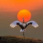 Simon Duong - @duongsimon - Instagram