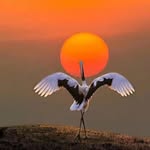 Simon Duong - @simonduong98 - Instagram