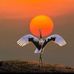 Simon Duong - Facebook