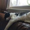 simon dyer - @simon.dyer85 - TikTok