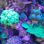 Simon Easton - @simoneaston4 - Instagram