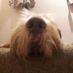 Simon Easton - @simon.easton.397 - Instagram