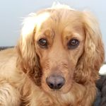 Simon Fields - @simonfields29 - Instagram