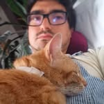 Simon Fines - @simonfines - Instagram