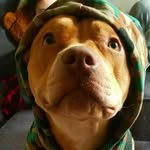 Simon Florez - @simon.florez.752 - Instagram