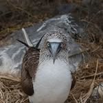 Simon Friend - @simon.d.friend - Instagram