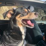 Simon Fuchs - @bostonfuchs - Instagram