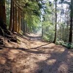 Simon Furber - @simonfurber - Instagram