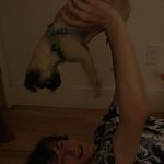 Simon Gallagher - @simon.gallagher1 - Instagram