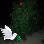 Simon Gitau - Facebook