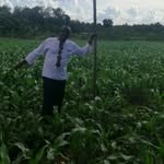 simon gitau - @gitaugathurusimon - Instagram