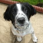 Simon Goldsmith - @simon.goldsmith - Instagram
