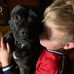 Simon Goldsmith - Facebook