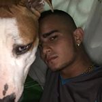 Simon Gonzales - @simon_12gonzales - Instagram