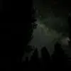 graysonsimon88 - @graysonsimon88 - TikTok
