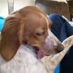 Simon Guajardo - @simonmguajardo - Instagram