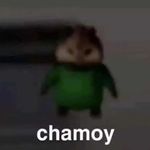 simon guajardo - @chamoi_omg - Instagram