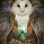 Simon Hallam - @simonhallam76 - Instagram