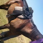Simon hallett - @hallett6300 - Instagram