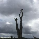 Simon Hartley - @hartservices - Instagram