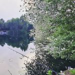 Simon Hartley - @theyorkshirecarper - Instagram