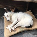 Simon Hartley - @jammyred5 - Instagram