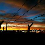 Simon Hickey - @dogga72 - Instagram