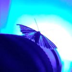 Simon Hickey - @simonhicpic - Instagram